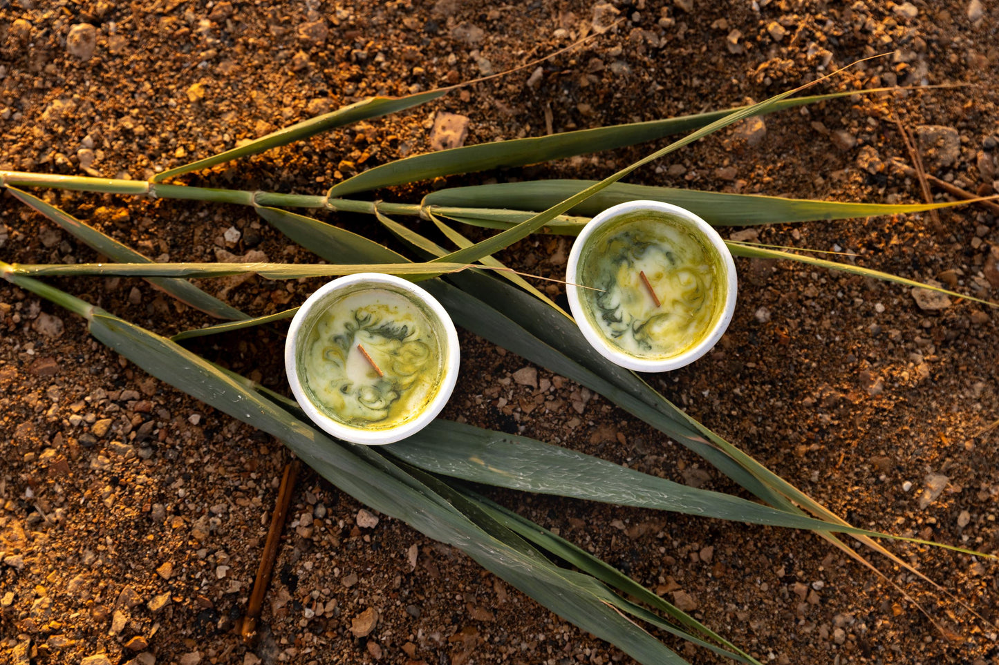 Herbal Soy Candle with Wooden Wick: Forest & Earth Scent