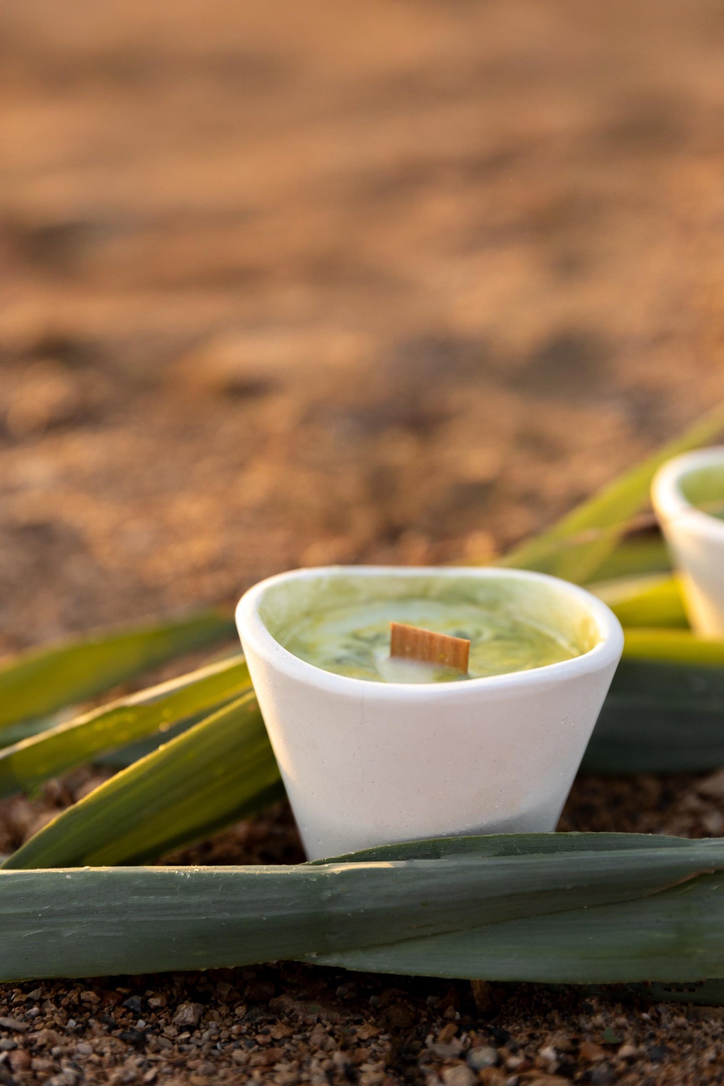 Herbal Soy Candle with Wooden Wick: Forest & Earth Scent