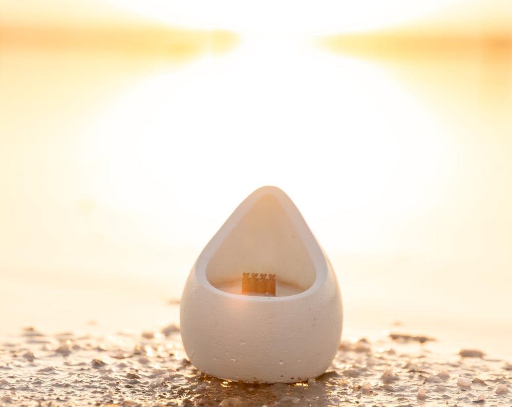 Amanecer Sunrise Candle – Soy Wax, Hand-Poured, Citrus & Floral Scent, Wooden Wick, Ceramic Vessel