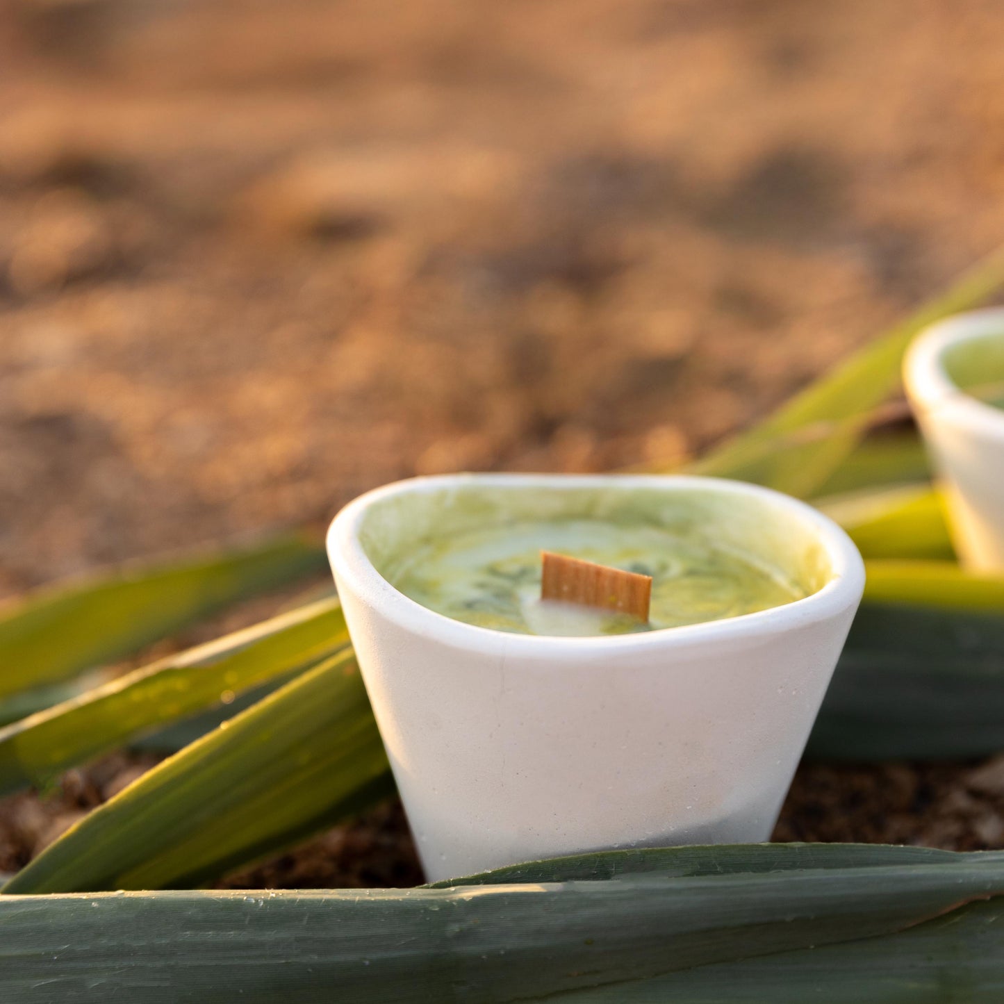 Vela de cera de soja pequeña blanca, en vaso de ceramica con cera verde y una mecha de madera, sobre un fondo lleno de hojas.