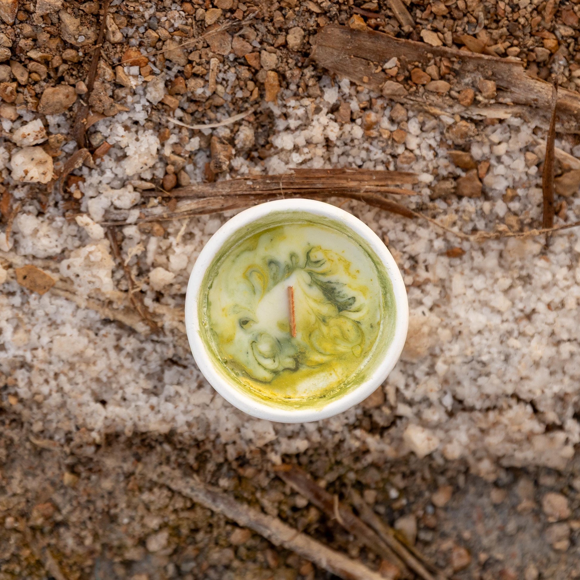 Vela de cera de soja pequeña blanca, en vaso de ceramica con cera verde y una mecha de madera, sobre un fondo lleno de hojas.